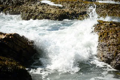 DSC_2592 (Large).JPG